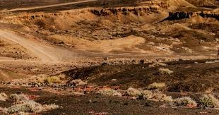 欧国联8强首回合｜ 克 丹“以下犯上” 2支前冠军法葡皆败